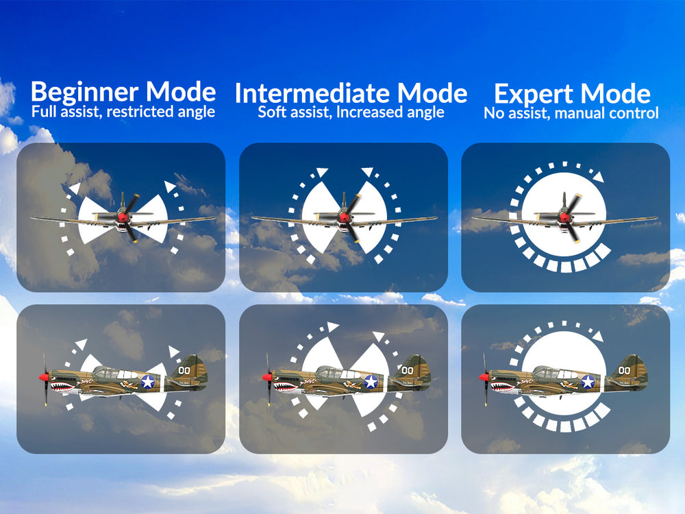 VOLANTEXRC Warhawk P40 (RTF) 4 canales 400 mm para principiantes (15,7'') 76113