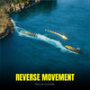 VolantexRC Vector 30 High Speed RC Boat: 30MPH & Self-Righting